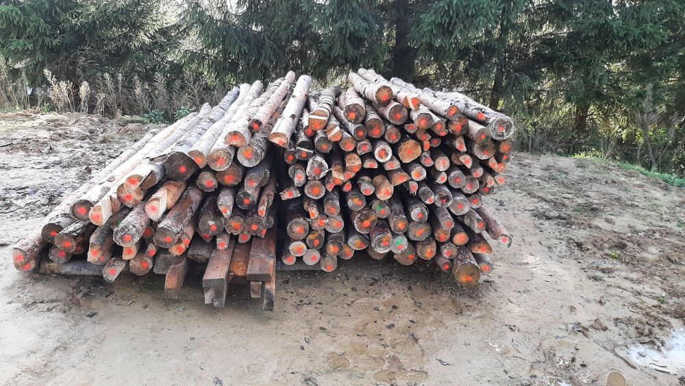 Okazja 750 pln ! - grube stemple budowlane drewniane 146 sztuk z klin