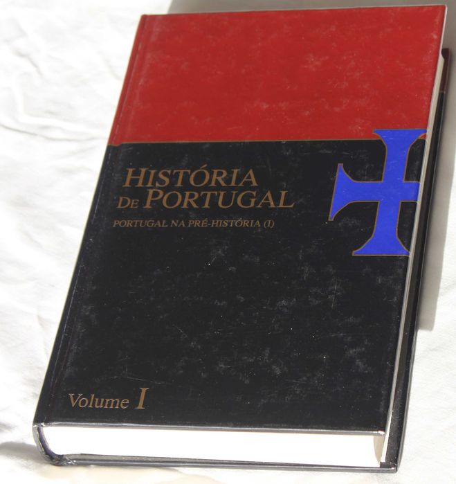 História de Portugal Portugal na pré-história João Medina