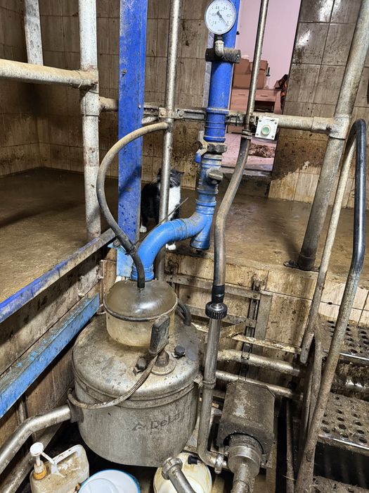 Hala udojowa delaval rybia ość 2x6 gea westfalia lely