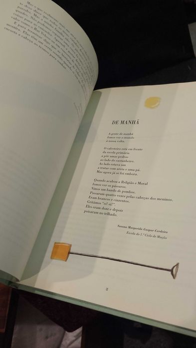 O Mundo à nossa volta (Desenhos de Henrique Cayatte)