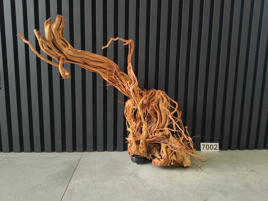 korzeń Azalea Wave / Red Wood 7002 akwarium terrarium 55x69x26