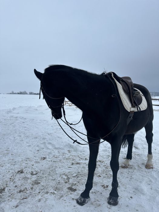Вальтрап конкурний вальтрап вальтрапи на замовлення