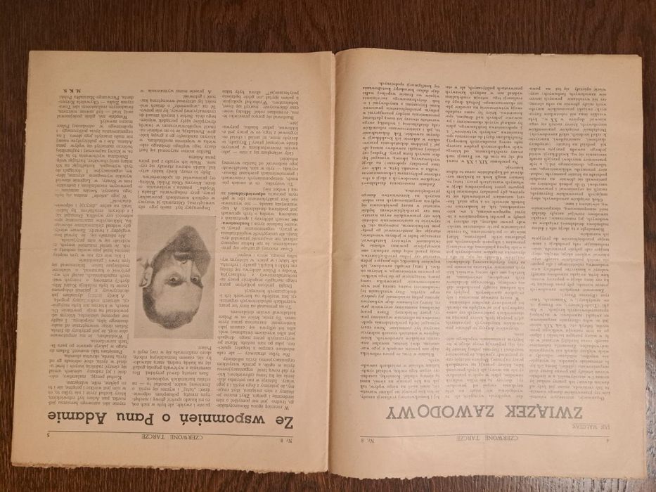 Czerwone Tarcze, 1939, nr 8 rok. II