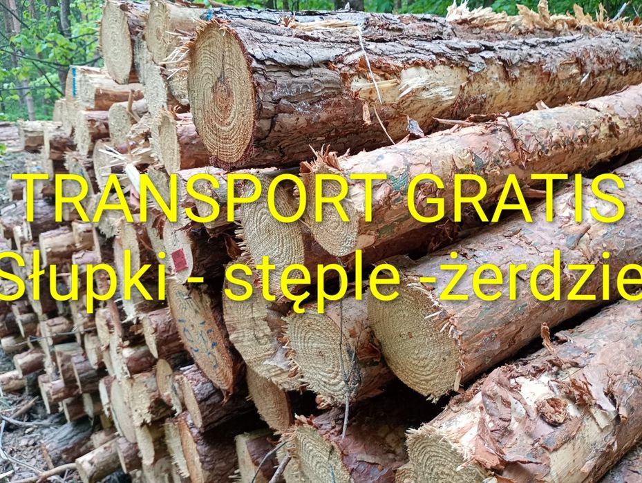 Stęple żerdzie słupki ogrodzeniowe modrzewiowe