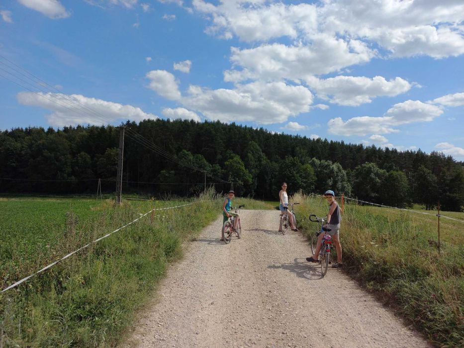 Domki na wyspie na Mazurach Garbatych. Noclegi, Mazury, łowisko