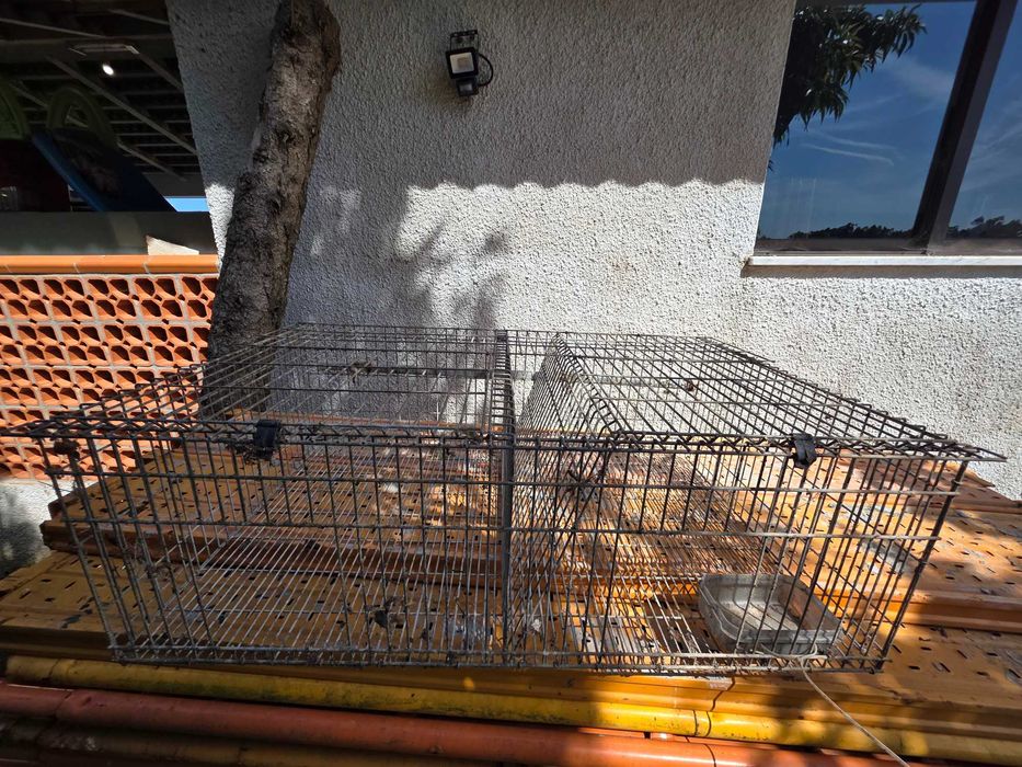 Jaula para coelhos
