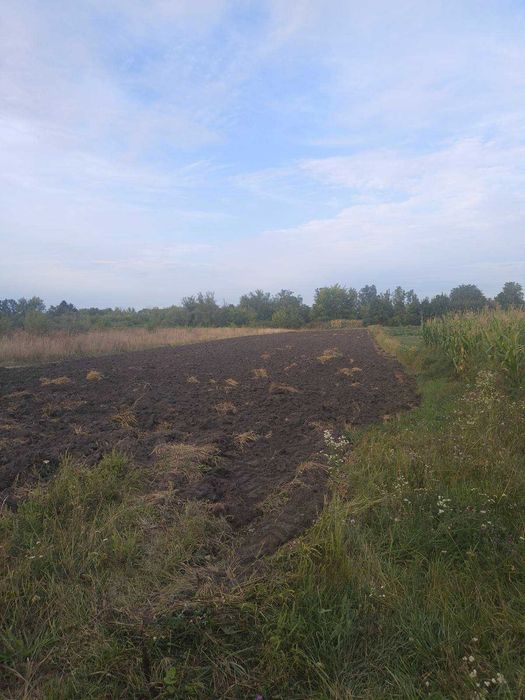 Продам будинок в селі Котюжинці 3030