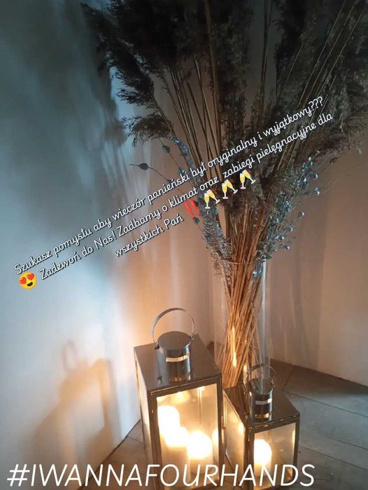 wieczór panieński / masaż / organizacja imprez