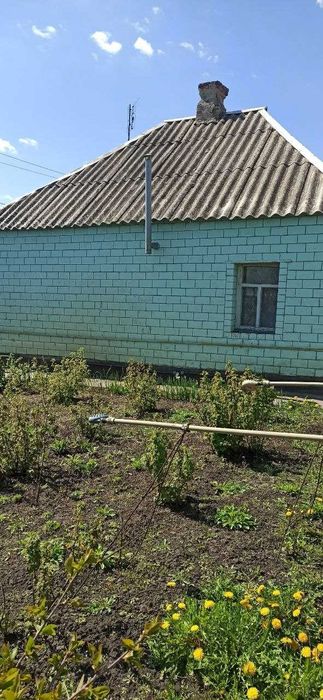 Продам будинок для можливого СТО