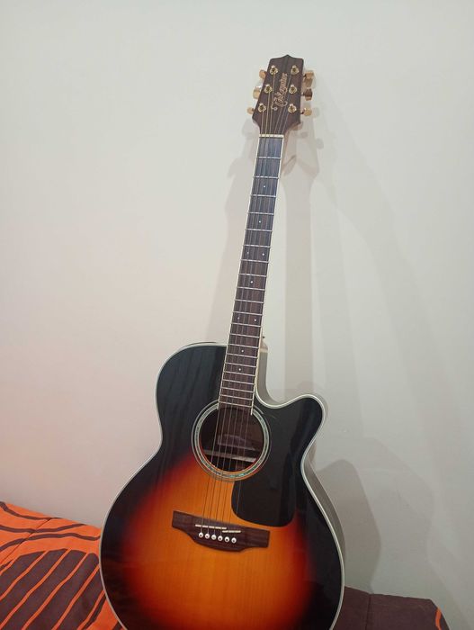 Takamine G Series