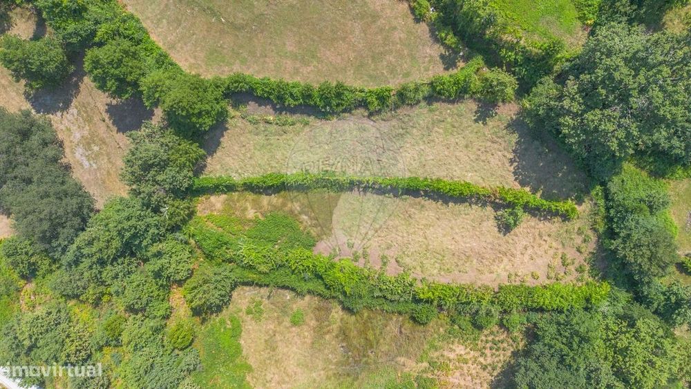 Terreno  para venda