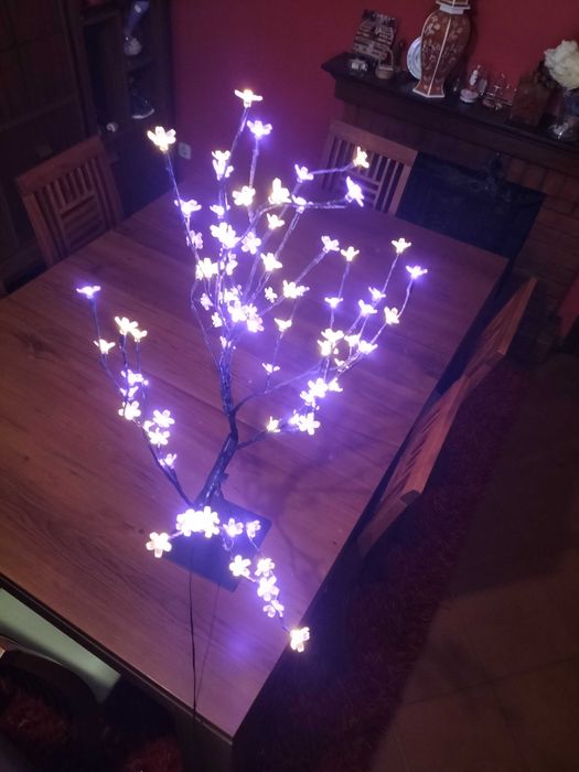 Árvore de natal iluminada.