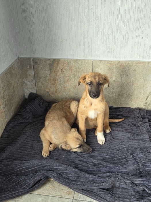 Малыши верят в чудо