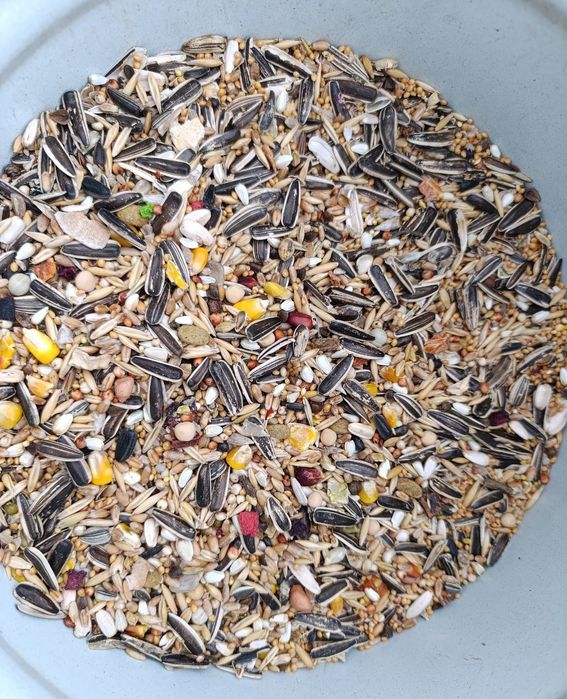 Корм для попугаїв