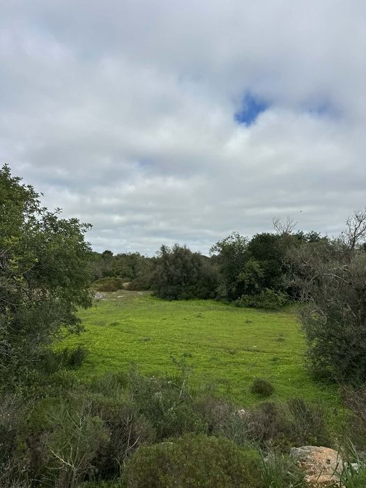 Vende-se terreno com 4.300 m²,