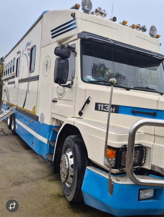 Koniowóz Scania 113H