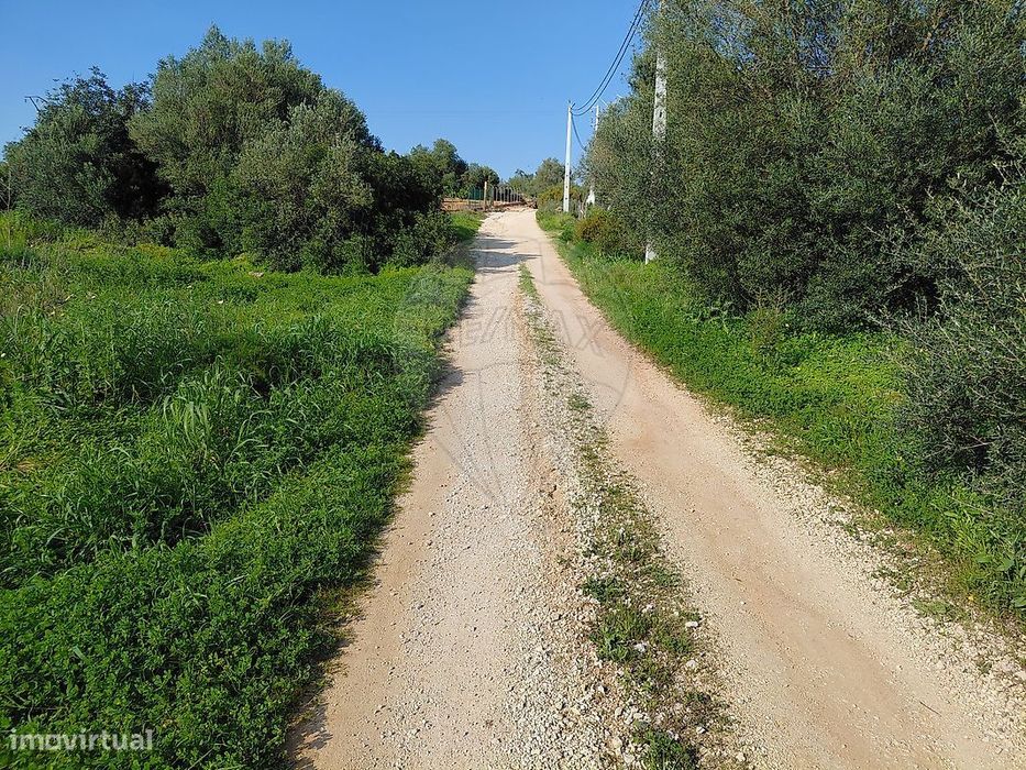 Terreno  para venda — Alcantarilha E Pêra, Faro