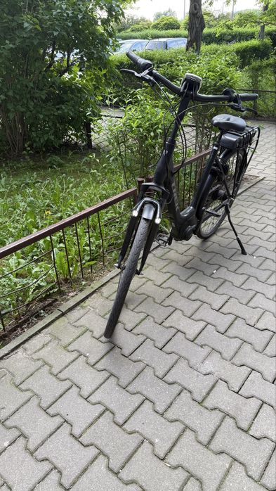 Rower elektryczny Trek LM2+