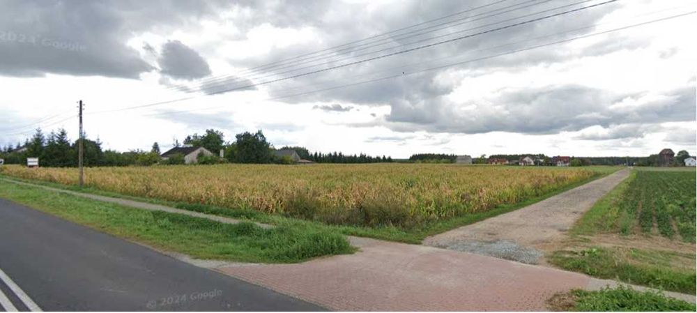 Sprzedam działki budowlane Dęby Szlacheckie - Widok 5