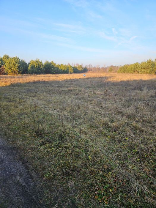Działka budowlano-rolna 1,1 ha w Łabędziowie gm. Morawica - Widok 3