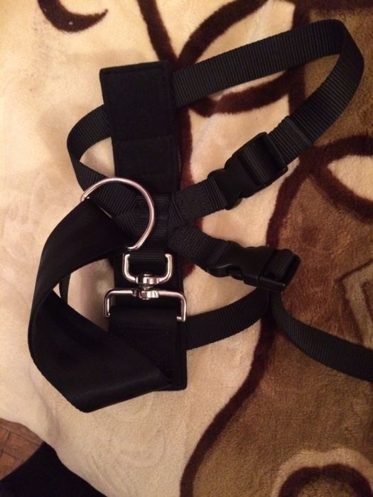 Поводок для собаки новий