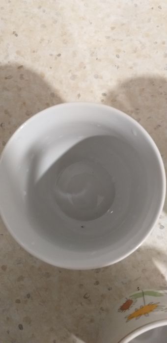 Porcelana Włocławek/pikasiak
