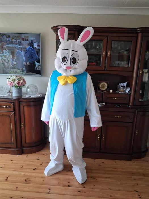 Zając wielkanocny do wynajęcia