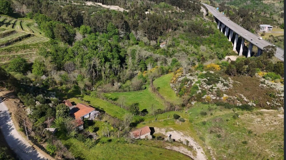 Quinta a venda Vila Caiz Amarante