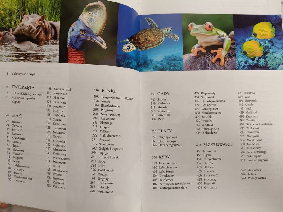 Wielka encyklopedia zwierząt