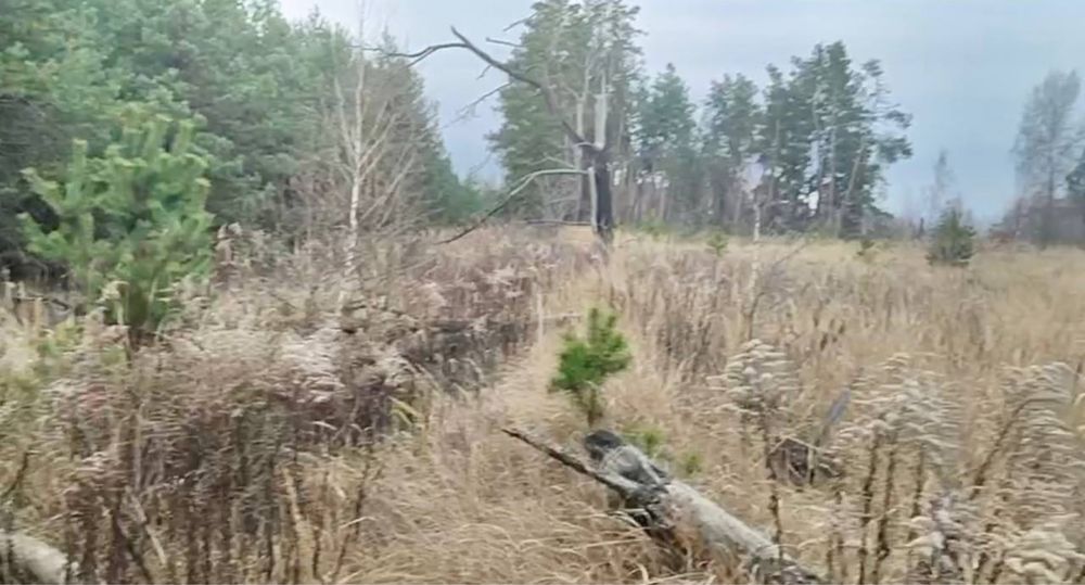 Продам заліснену земельну ділянку під базу відпочинку!!!