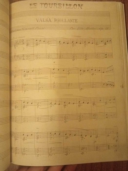 Grande volume de partituras antigas – Piano – séc. XIX/XX – Ricordi, Schott, Litolff