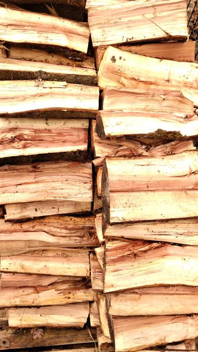 Drewno do wędzenia śliwa