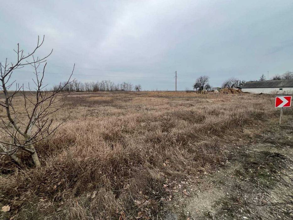 Продаж великої земельної ділянки в с. Софіївка