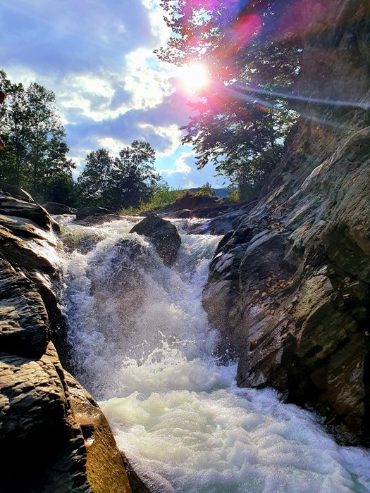 Котеджі в Карпатах