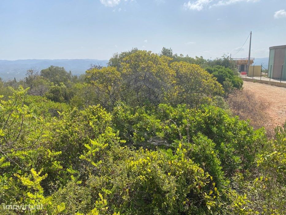Lote de Terreno Rústico no Serro dos Passarinhos, Loulé, Algarve