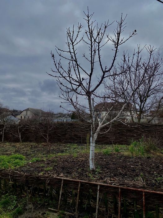 ПРОДАЖА ДОМ ДЕРГАЧИ два по цене одного