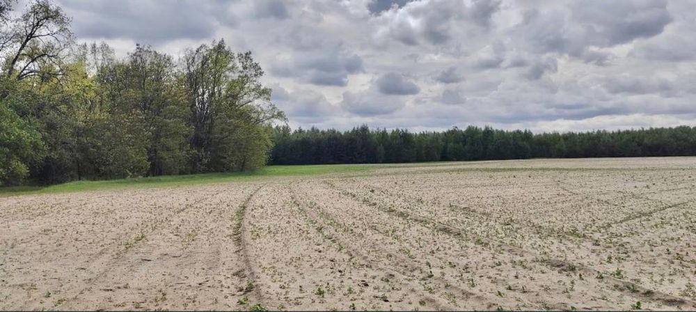 Земельна ділянка 27га. с. Андріївка