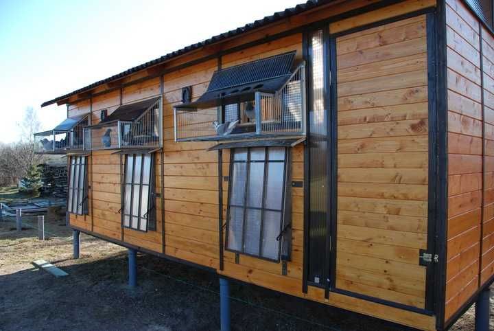 Gołębnik solidna konstrukcja wysyłka gratis 200cm / 600cm