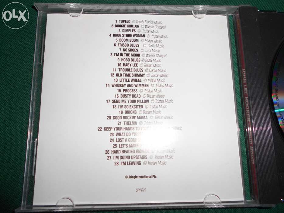 John Lee Hooker, Boom Boom