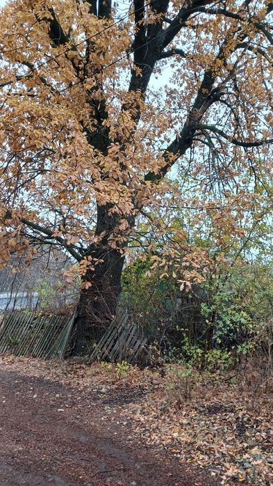 Ділянка в затишному місці селища Високий.