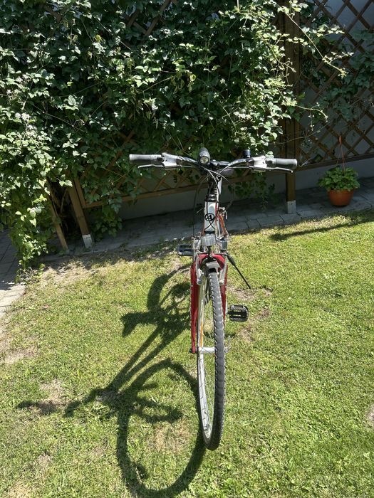 Rower Author Integra.