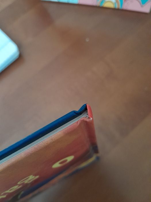 Livro O Gato e o Escuro