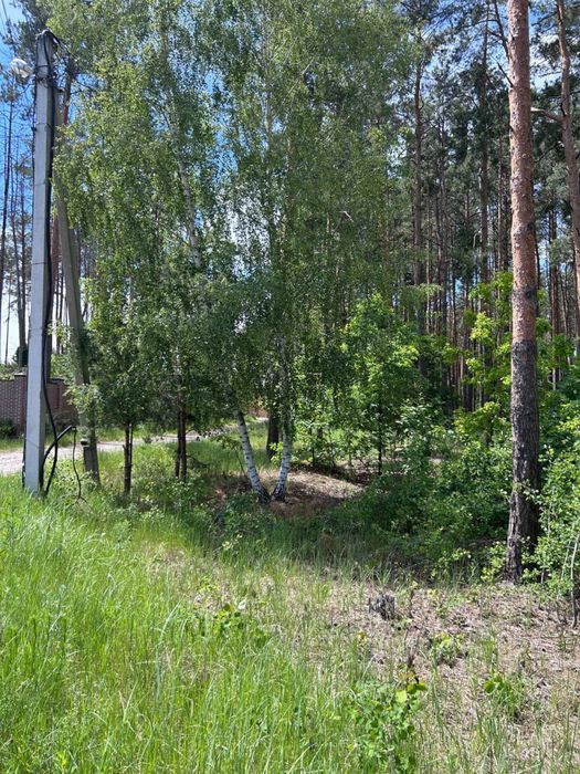 Земельна ділянка у Блиставиця біля озера. Газ. Електрика. Охорона