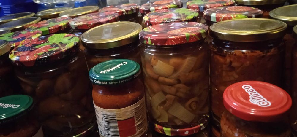 Rydze marynowane po cygansku sloik 540ml 4 Sztuki 80zl-zbior 2024R