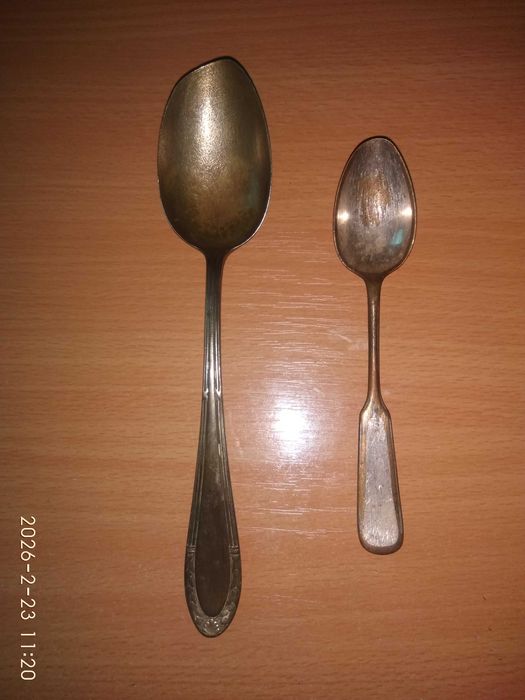 ЛОЖКИ  -  15  шт и ВИЛКИ  7 шт