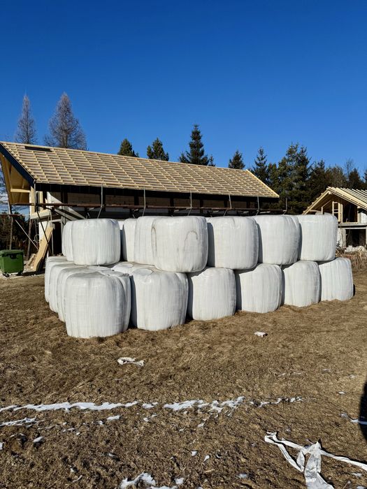 Sianokiszonka baloty bele