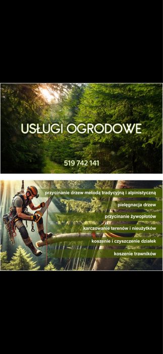 Wycinka drzew  . Grabienie lisci  usługi ogrodowe !!