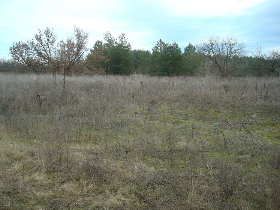 Ціну змінено!!! Продам земельну ділянку під будівництво в с. Чорнявка