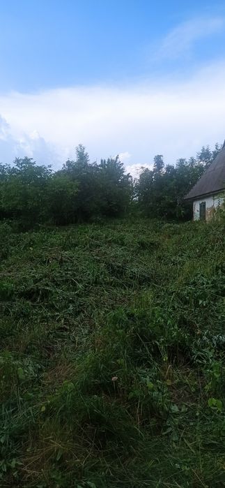 Земельна ділянка  Комарово