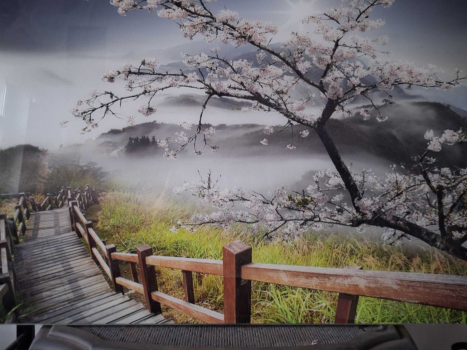 Obraz na scianę pod szkłem